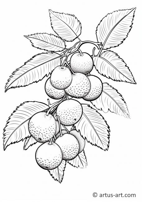 Lychee Leaves Coloring Page
